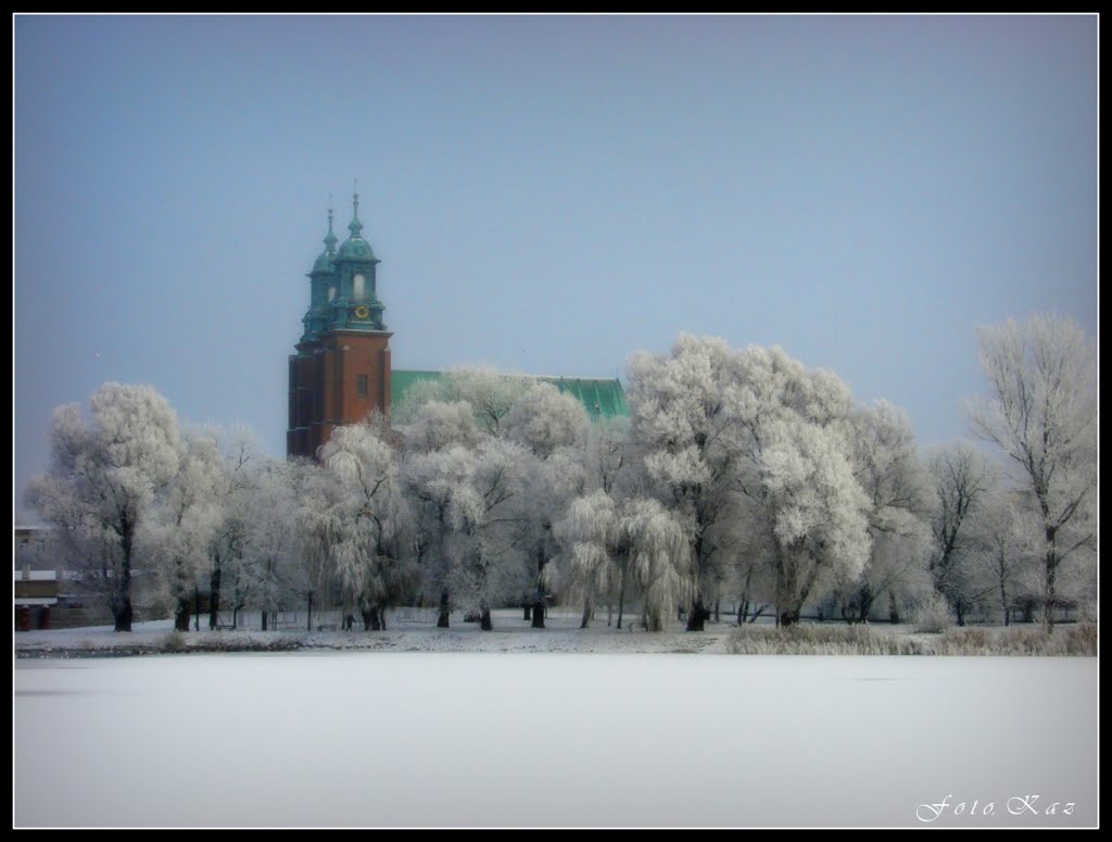 Katedra w zimowej szacie., Гнезно