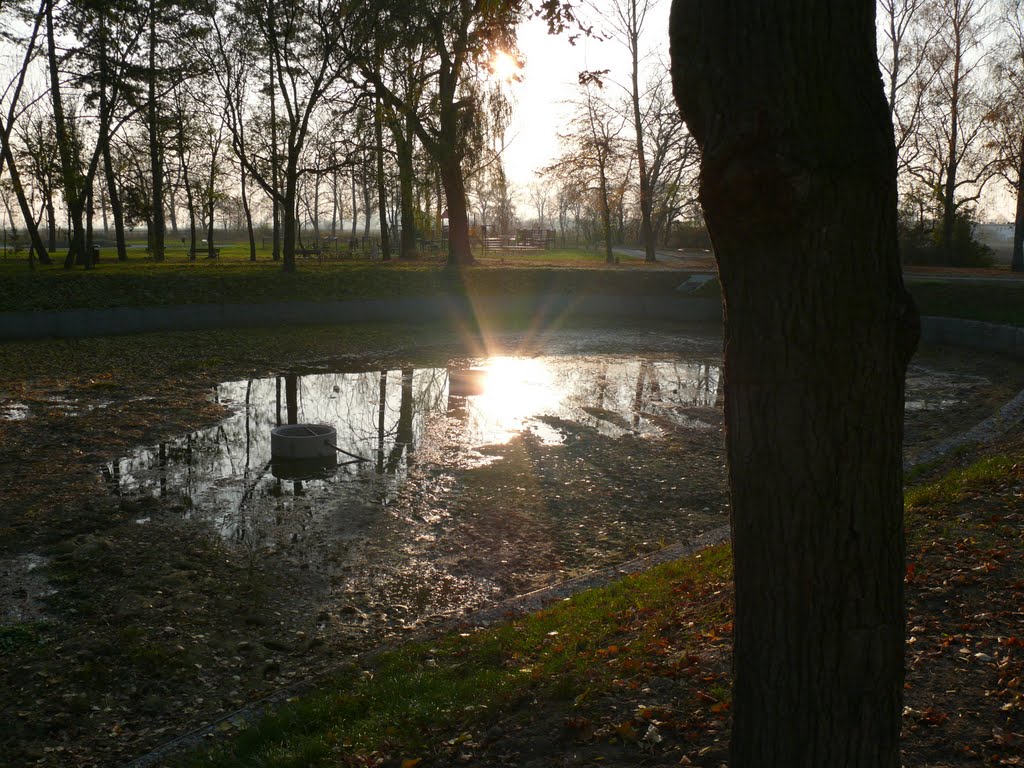 Zabytkowy park w Kleszczewie Zima 2011/2012, Гостын