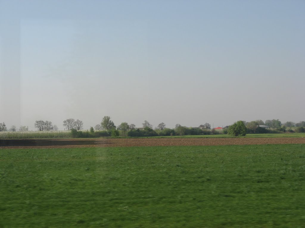 polska landscape, Гостын