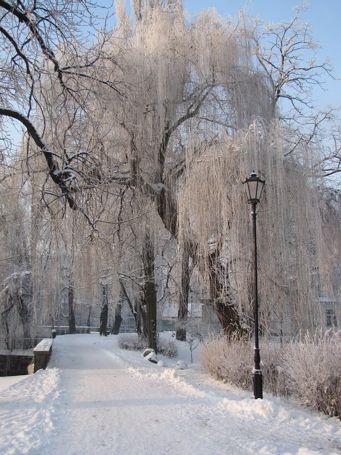 Winter walk in City Park at - 10 degrees Celsius, Калиш