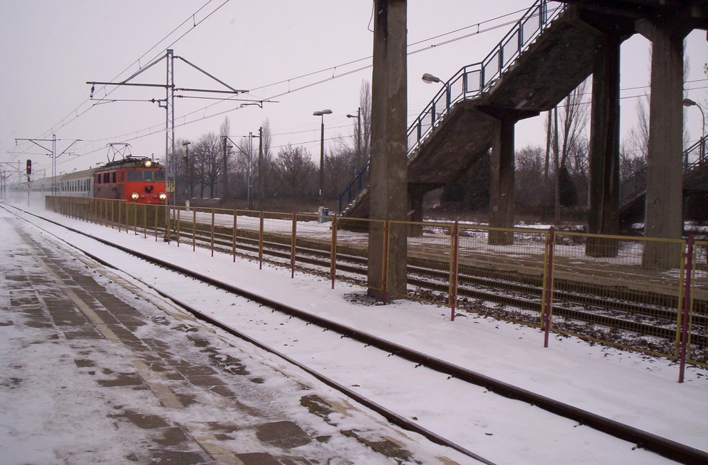 pociąg  (train) PKP, Коло