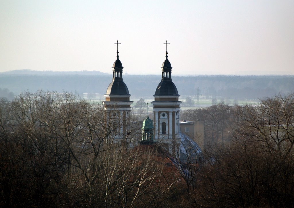 Krotoszyn Kościół pw. Św. Andrzeja Boboli, Кротошин