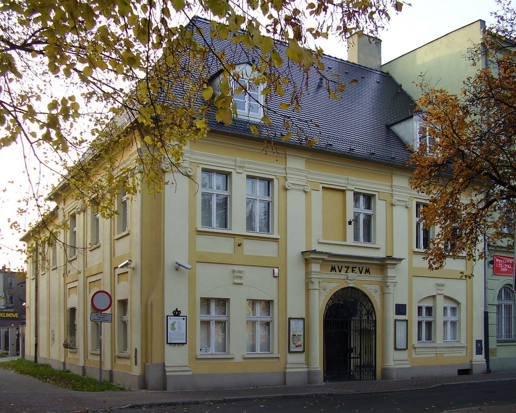 Muzeum, Лешно