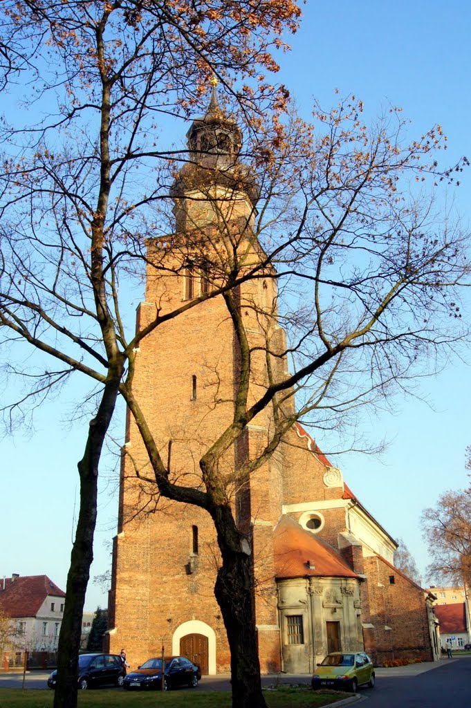 Kościół św. Jana Chrzciciela, Лешно