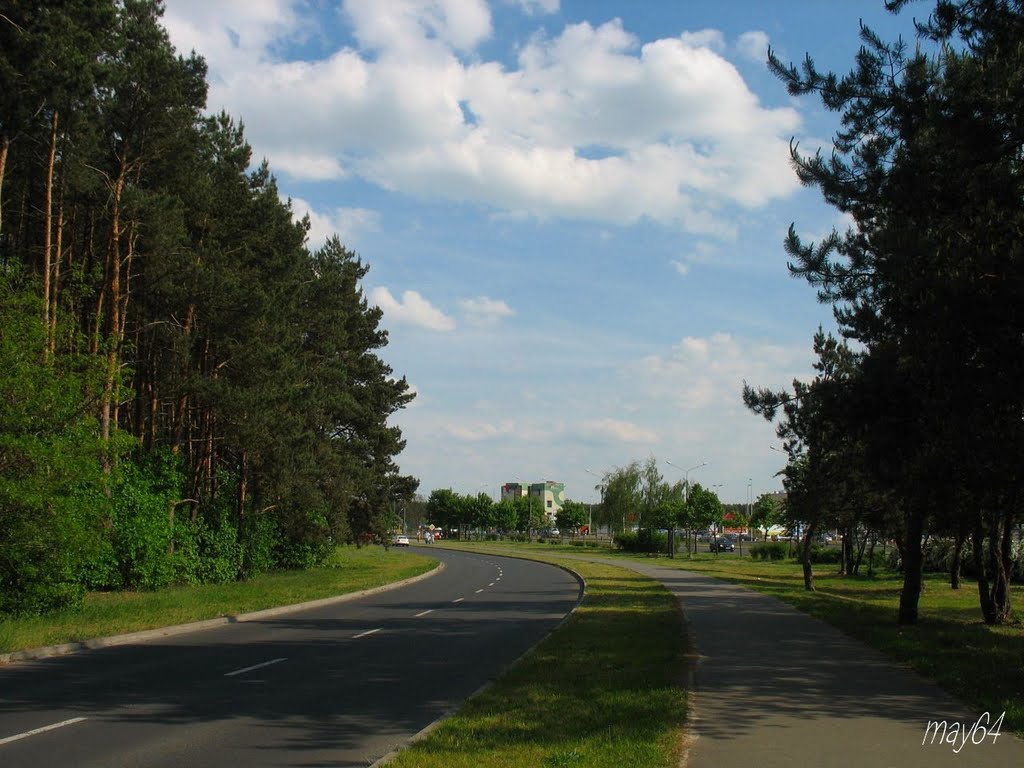 Leszno : Zamenhofa - droga prowadząca w kierunku Rejtana, Лешно