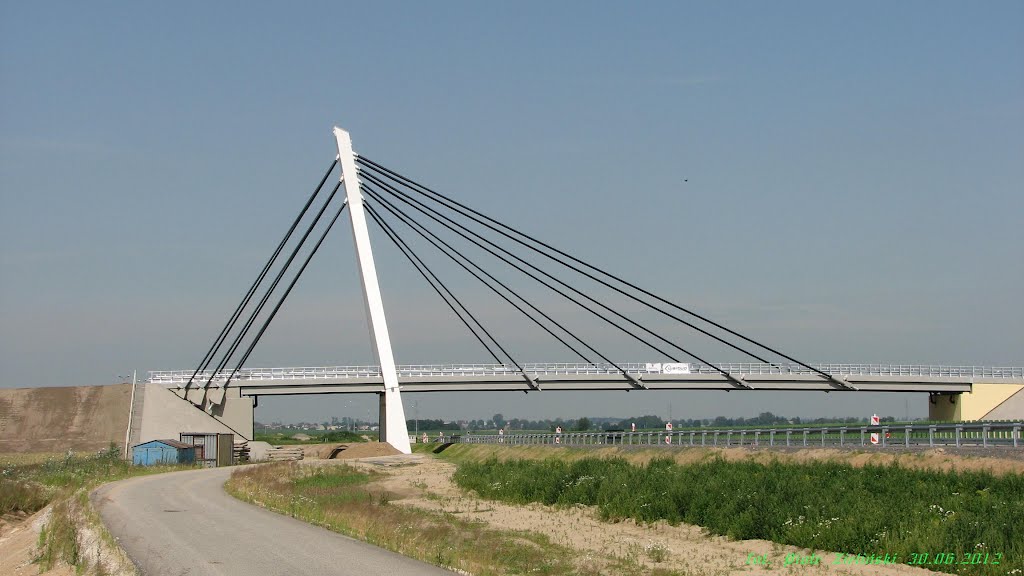 Droga ekspresowa S5 - wiadukt WN24 [MOP II Czerlejnko], Любон