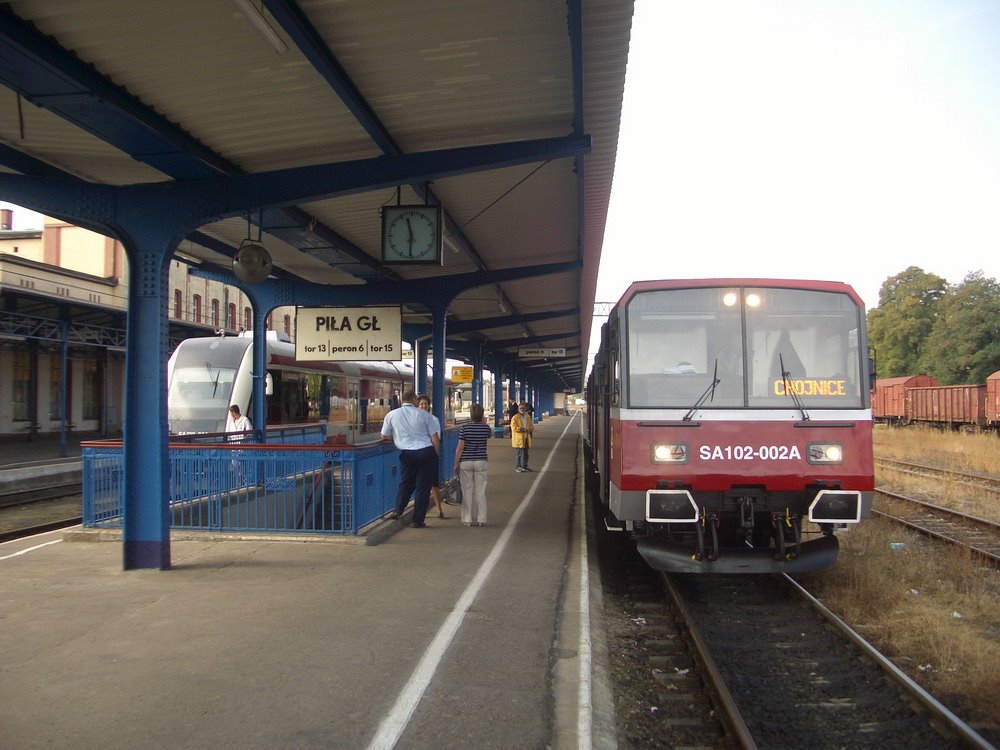 Schneidemühl Hauptbahnhof. Zug nach Konitz, Пила