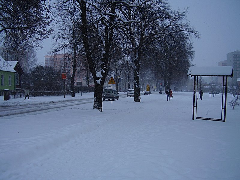 winter, Пила