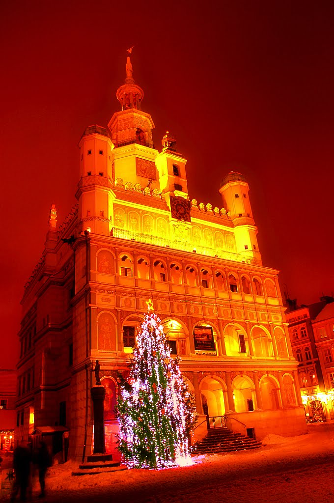 Town Hall.. - orange, Познань