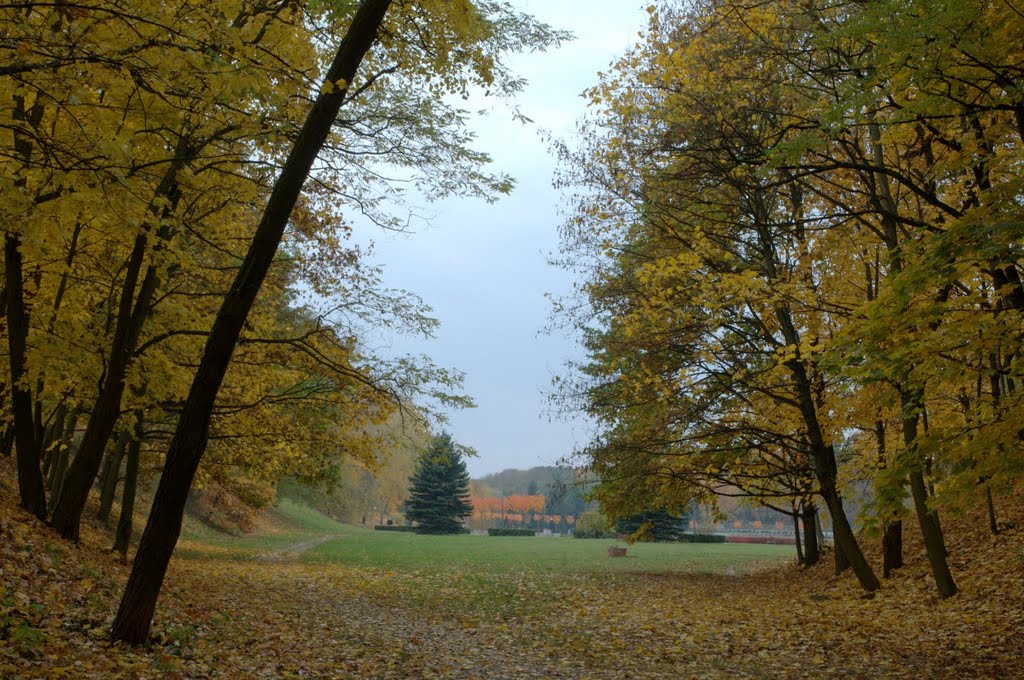 In the park in autumn, Познань