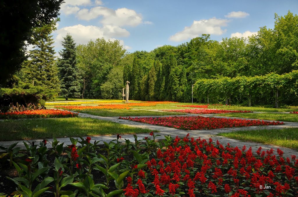 Park Cytadela, ogród kwiatów rocznych, Познань