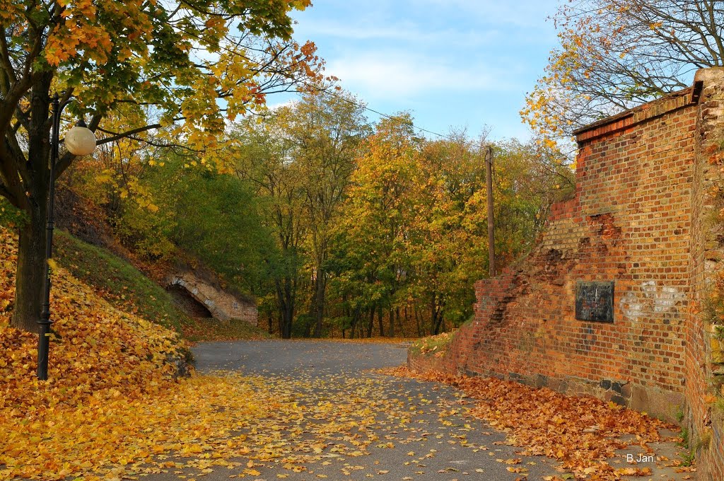 Poznan Citadel Park, autumn, Познань