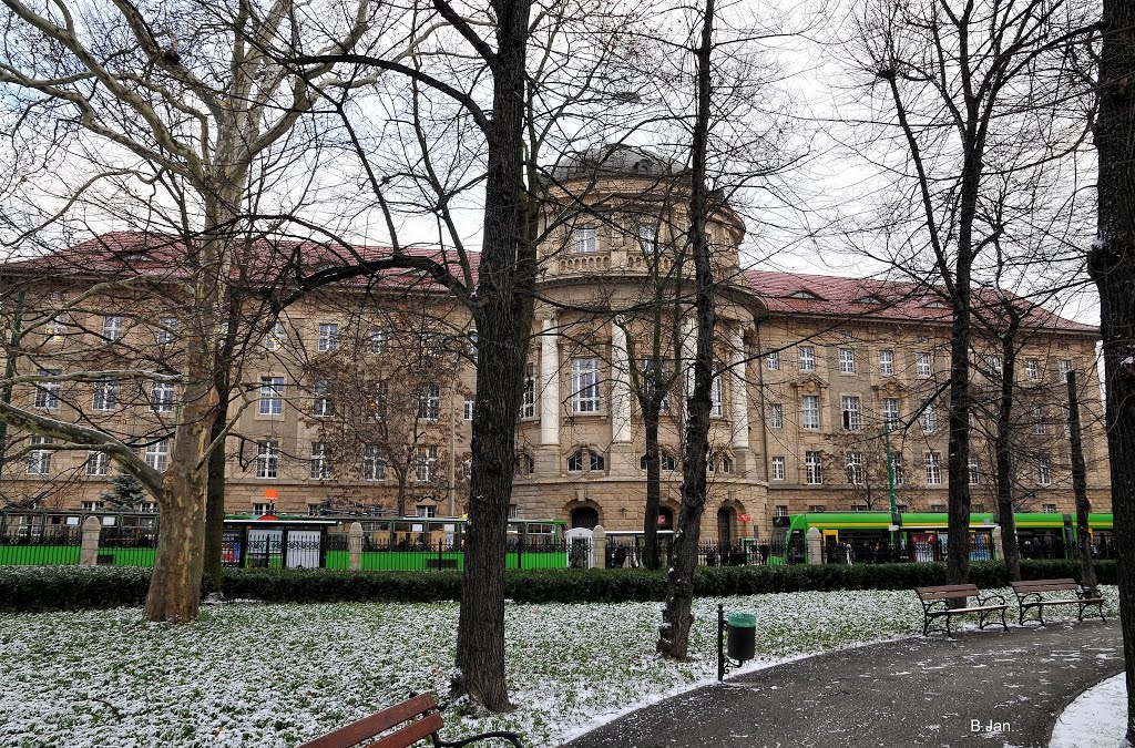 Budynek Uniwersytetu Medycznego w Poznaniu- Collegium Maius, Познань