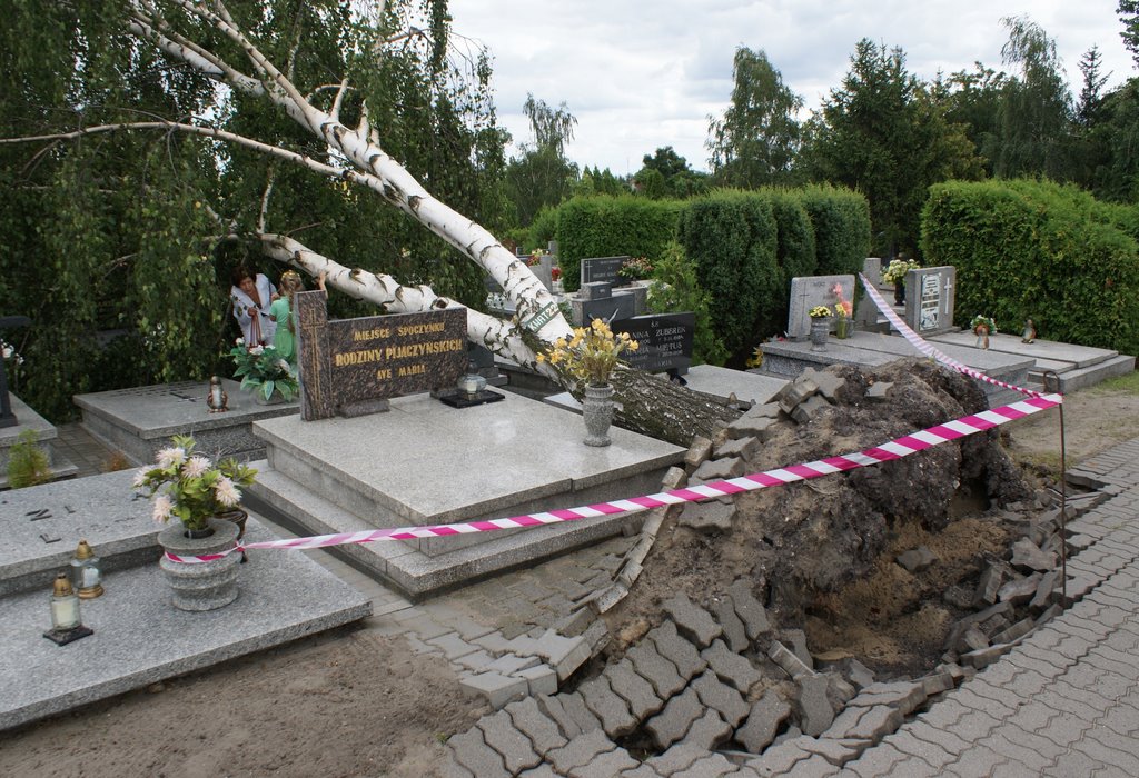 once upon a windy day - destroyed cemetery, Равич