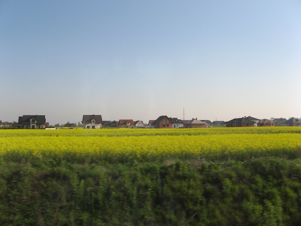 landscape, Срода-Велкопольска