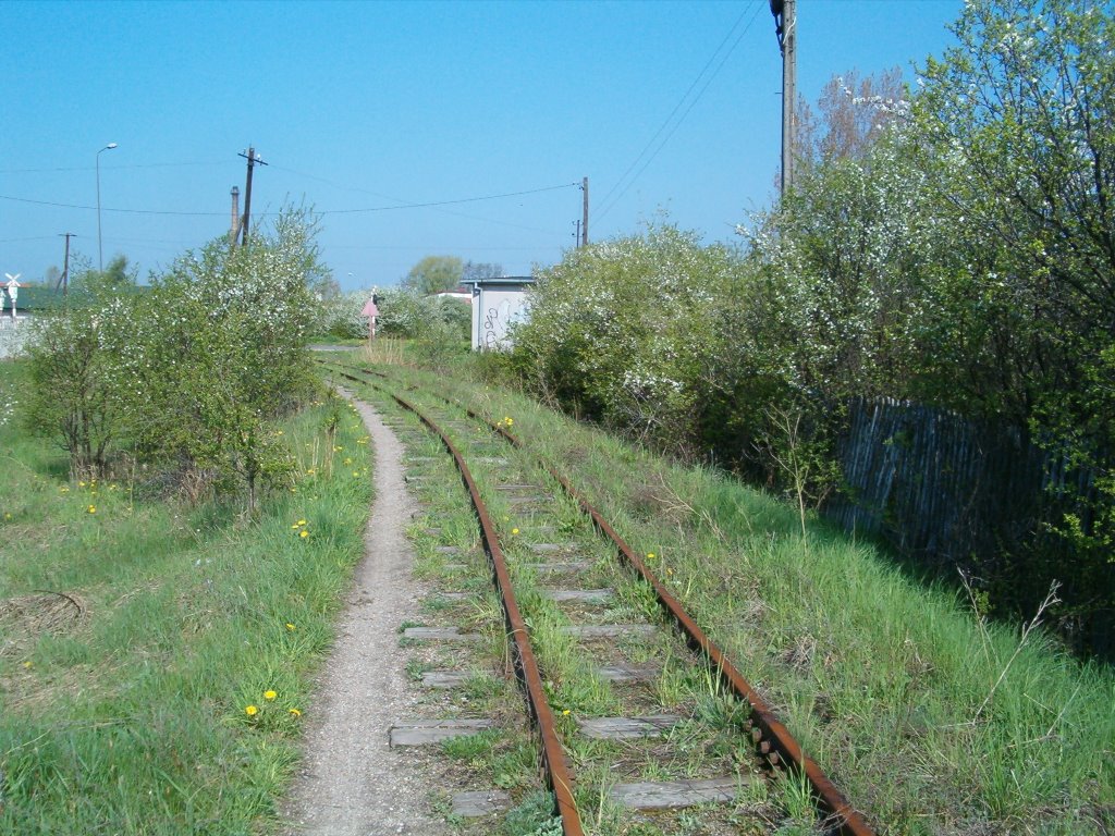 old railway track, Турек