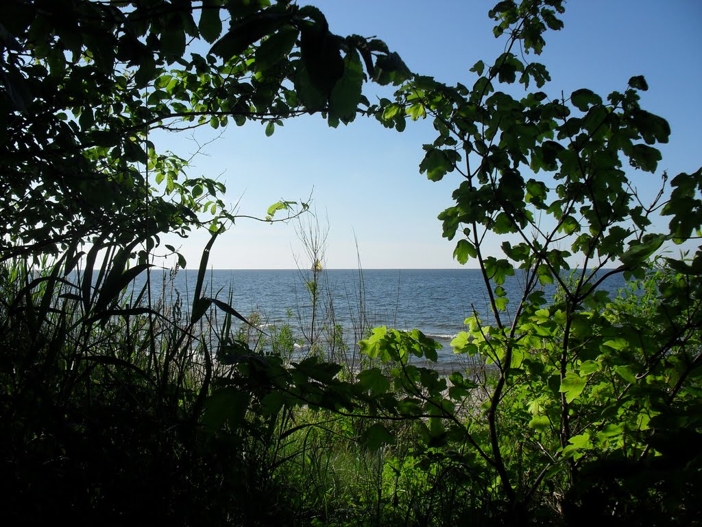 2010 Blick zur Ostsee;  2010 View to the Baltic Sea;, Колобржег