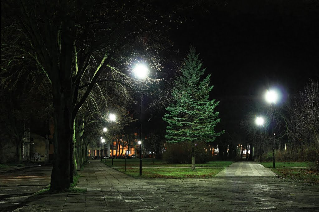 Choinka w parku nadmorskim nocą., Колобржег