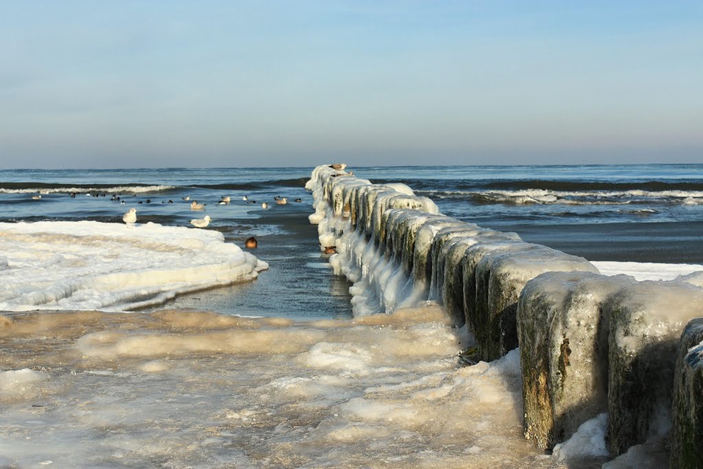 Ostrogi brzegowe w lodzie., Колобржег