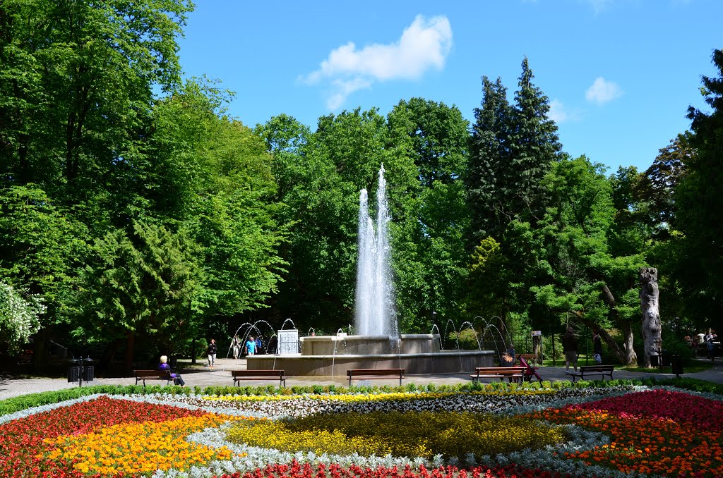 Park w Koszalinie, Кошалин