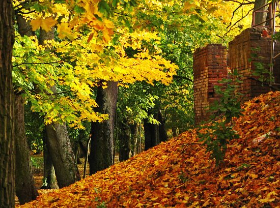 Park Książąt Pomorskich # 8, Кошалин