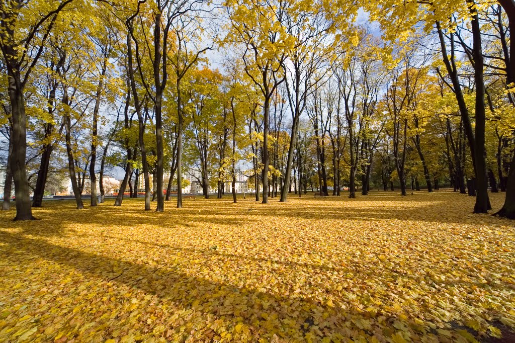 Park Źródliska jesienią, Лодзь
