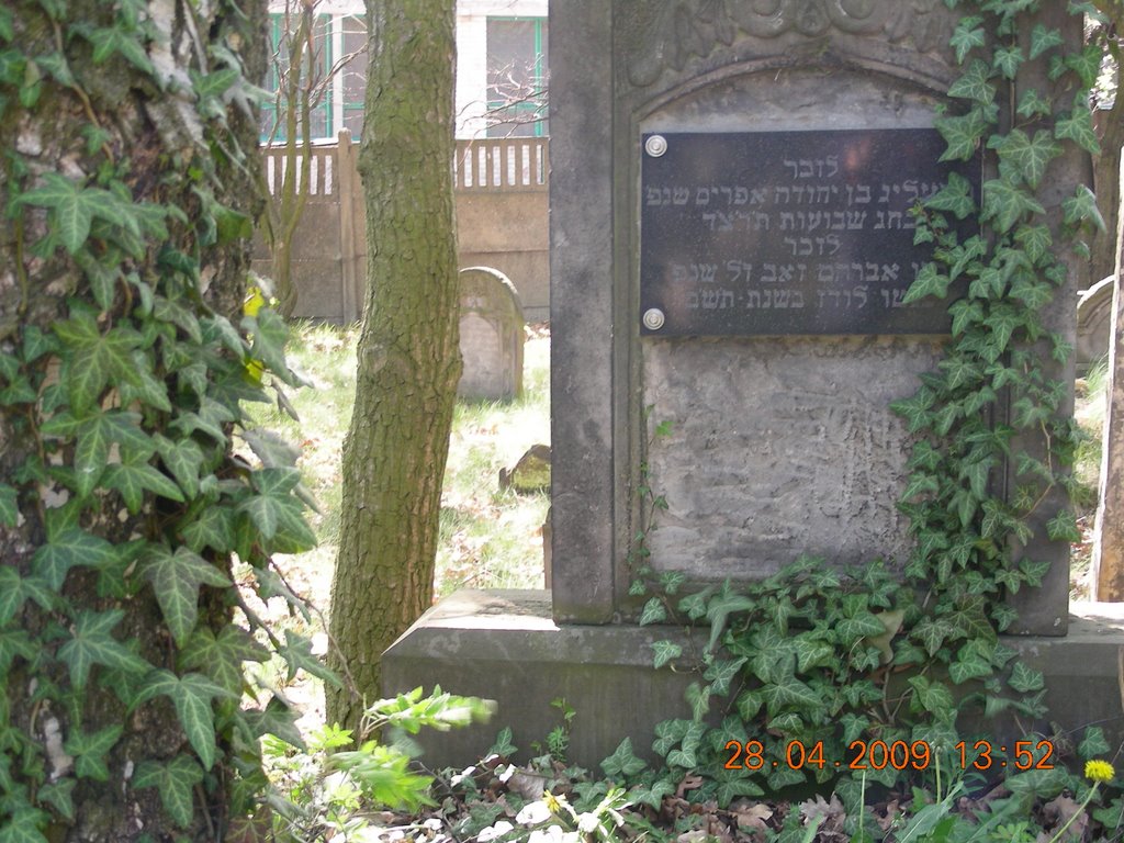 cmentarz żydowski  III, Пабьянице