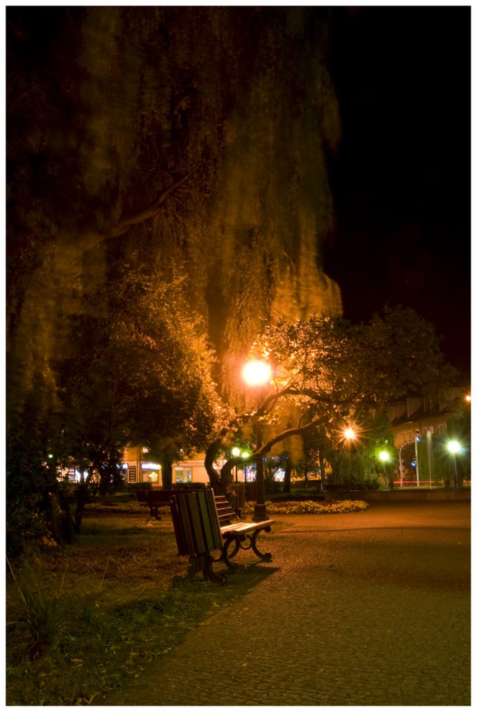 Park nocą (nocny wypad z jackiem na miasto), Радомско