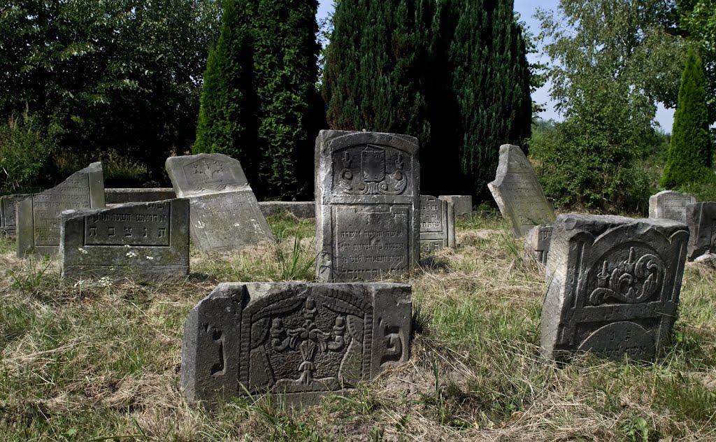 2012 08 05 Jewish cemetery, Скерневице