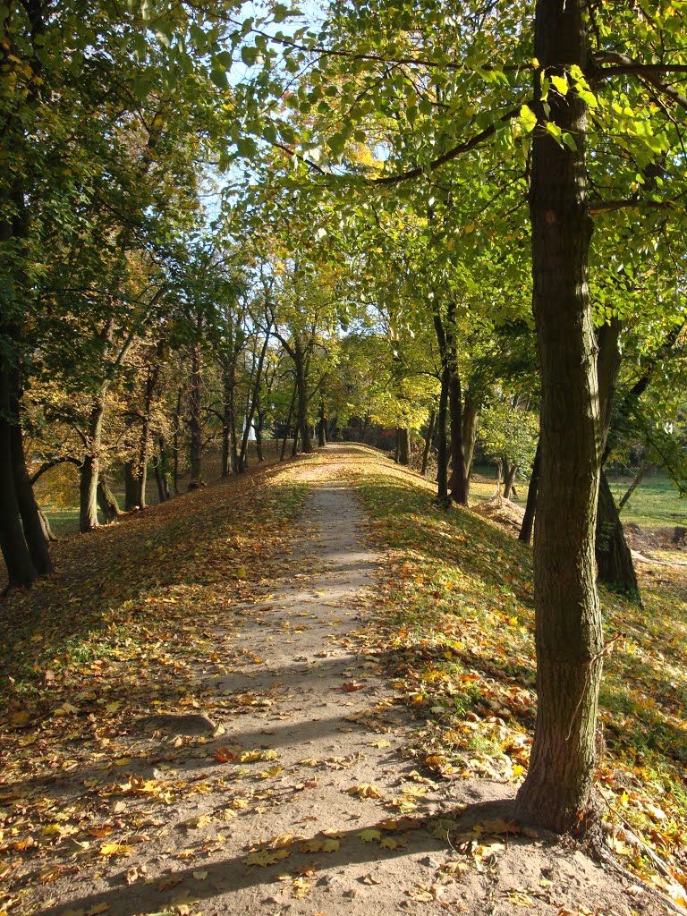 wały fosy w parku Radziwiłłów, Биала Подласка