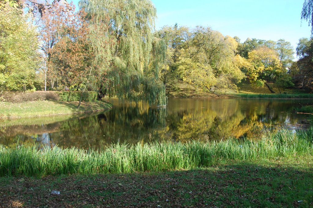 Polska Zamość Park, Замосц