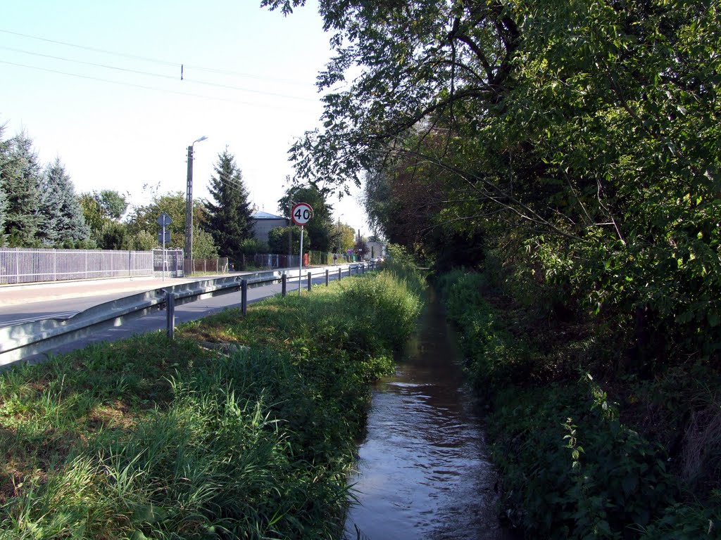 Kraśnik - rzeka Wyżnica przy ul Jagielońskiej, Красник