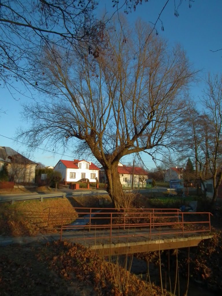 Drzewo,rzeka i most, Красник