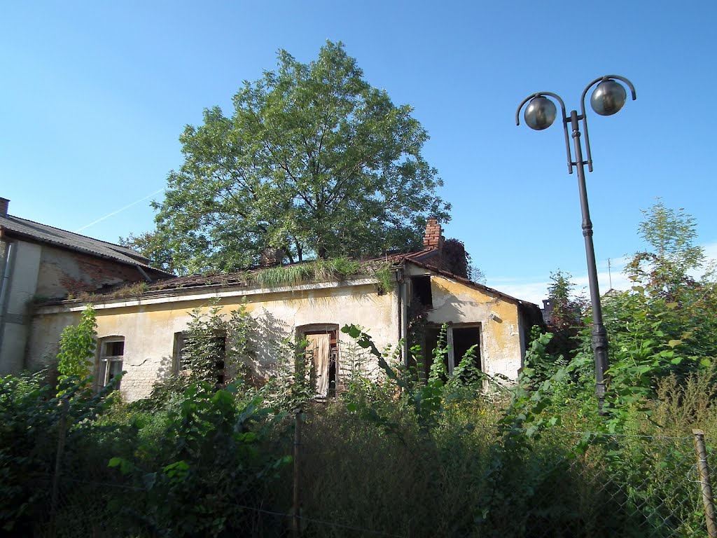 Ruiny przy ul.Ogrodowej, Красник