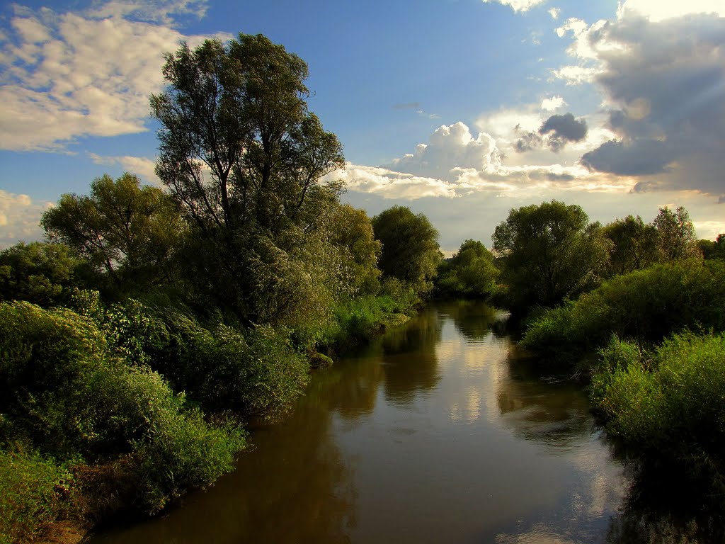 Wieprz River summer, Красныстав