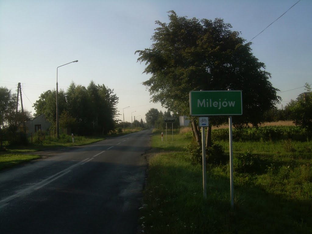 Milejów; wjazd od strony północnej, Луков