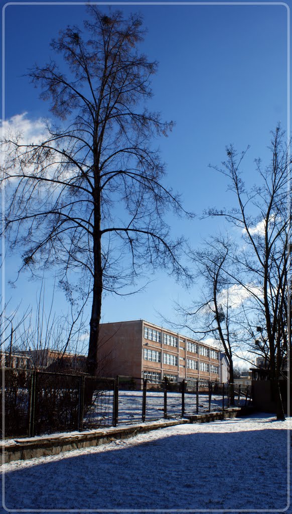 Szkoła podstawowa nr.1 w Puławach, Пулавы