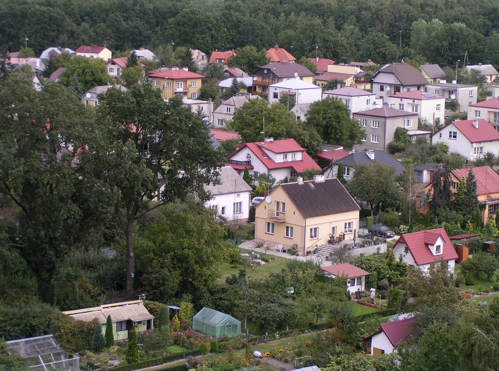 Dzislki District from the air, 2011, Пулавы