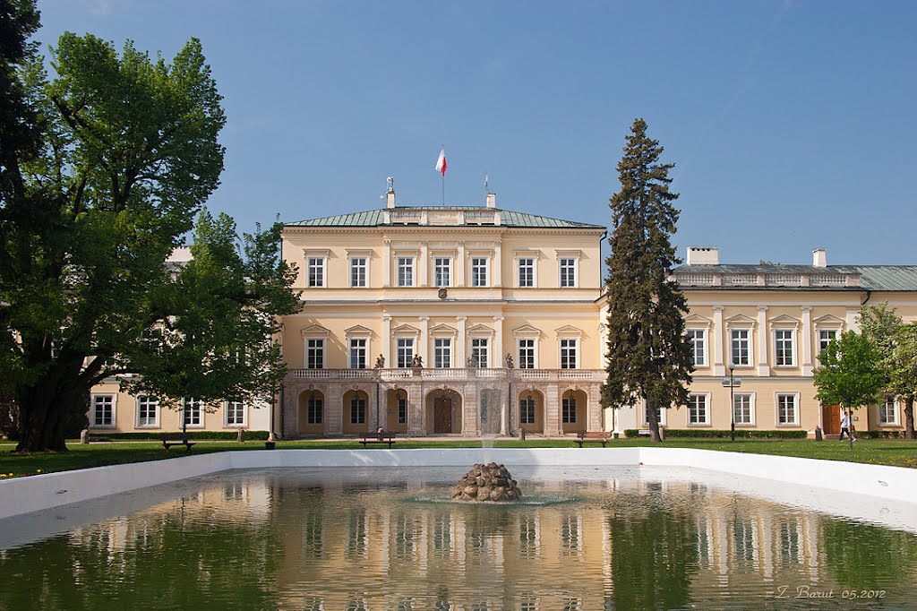 Pałac Czartoryskich w Puławach, Пулавы
