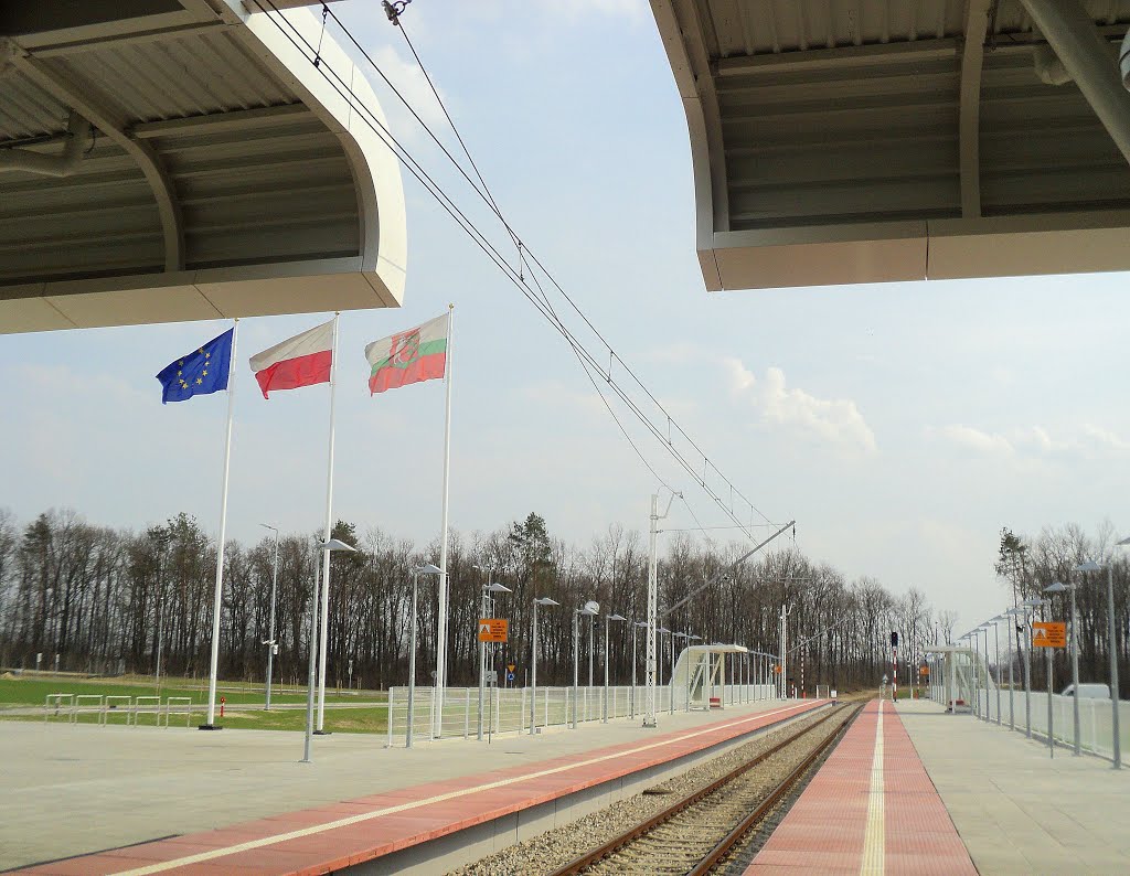 Airport Lublin, Свидник