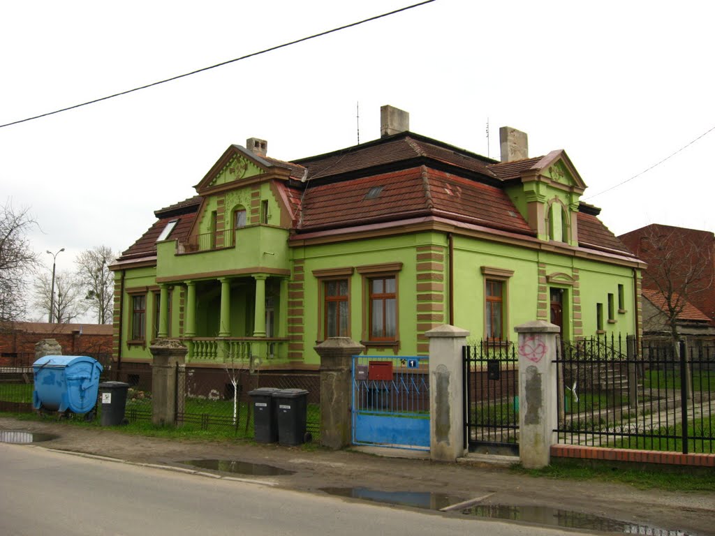 Zielony budynek przy niebieskim śmietniku, Кедзержин-Козле