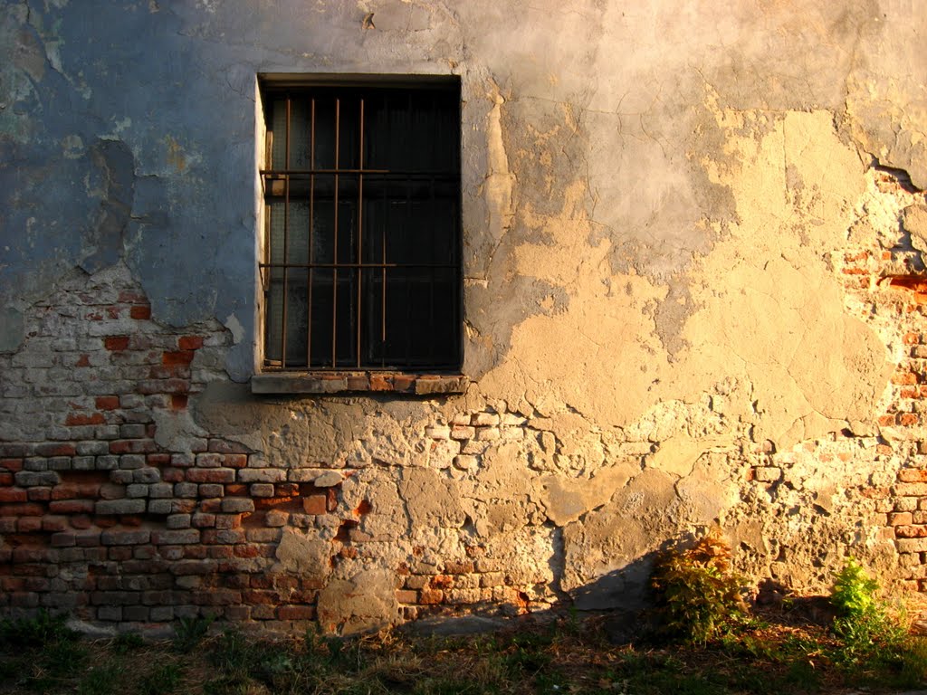 Zamknięte okno za kratami, Кедзержин-Козле