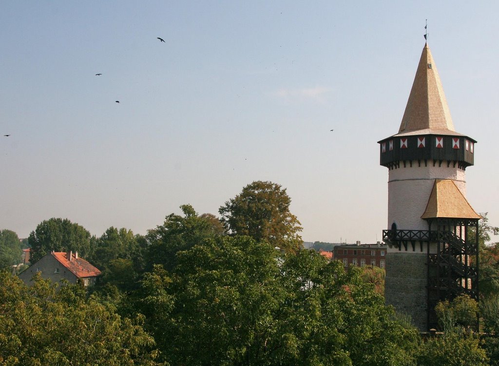 Wieża Woka w Prudniku, Прудник