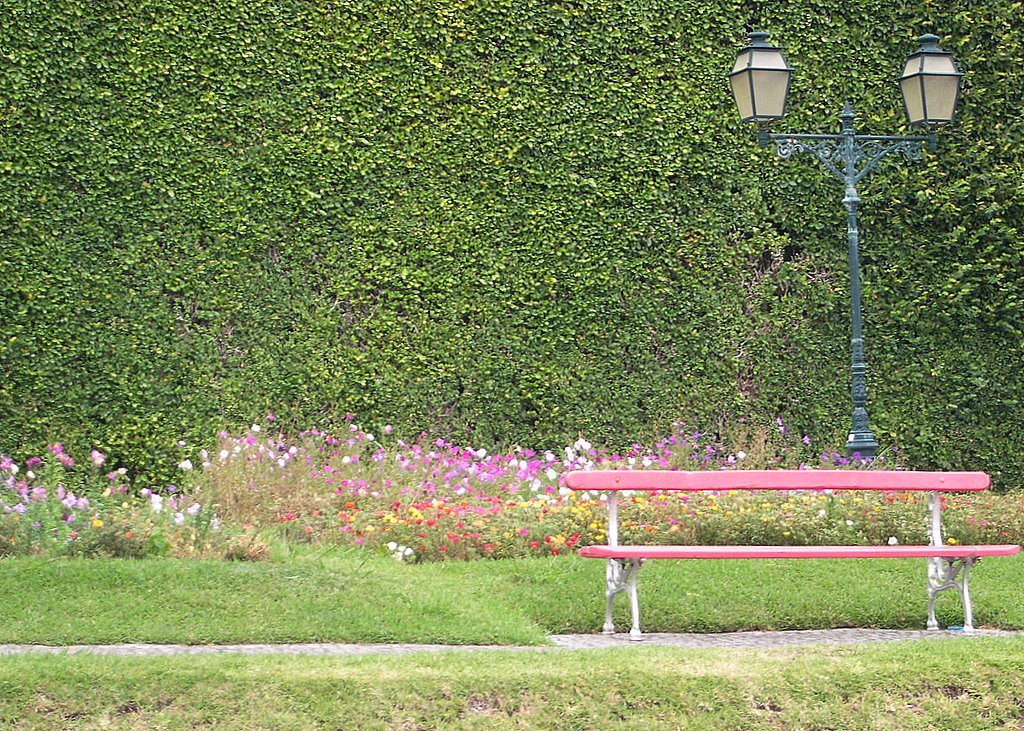 A bench and flowers in Horta, Вила-Нова-де-Гайя