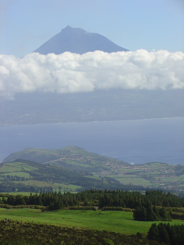 Ilha do Pico, Açores, Матосинхос