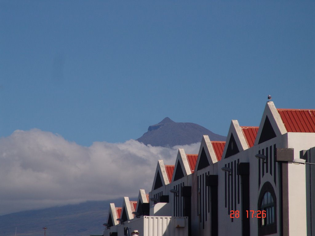 Ilha do Pico Visto do Cais - Horta - Ilha Faial - Açores - Portugal - 38° 31 39.72" N 28° 37 28.92" W, Матосинхос