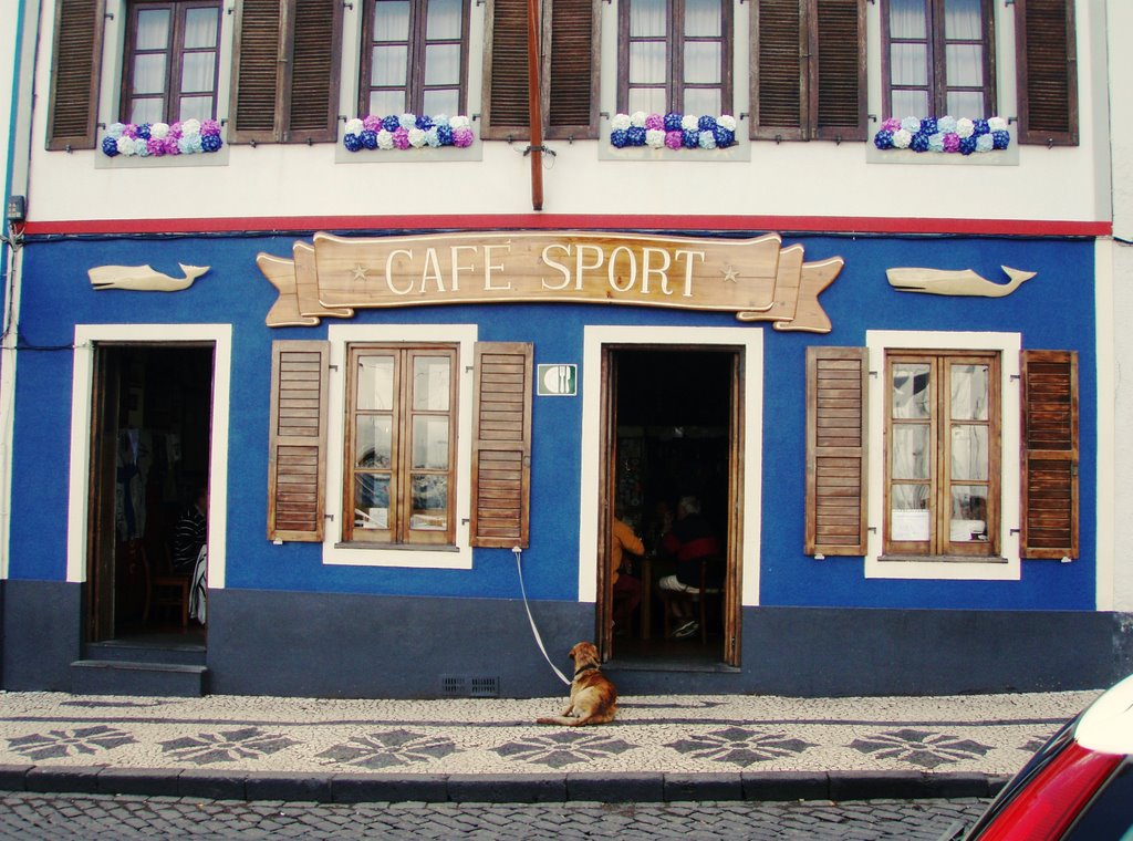 Café Sport, Horta, Опорто