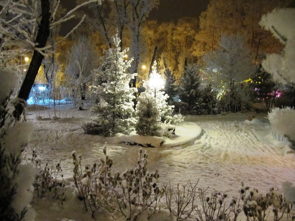 Снежный парк, Абакан
