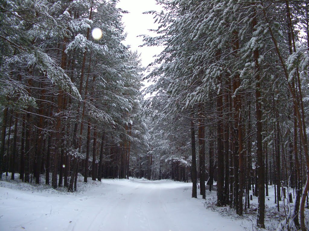 Зимний лес, Урай
