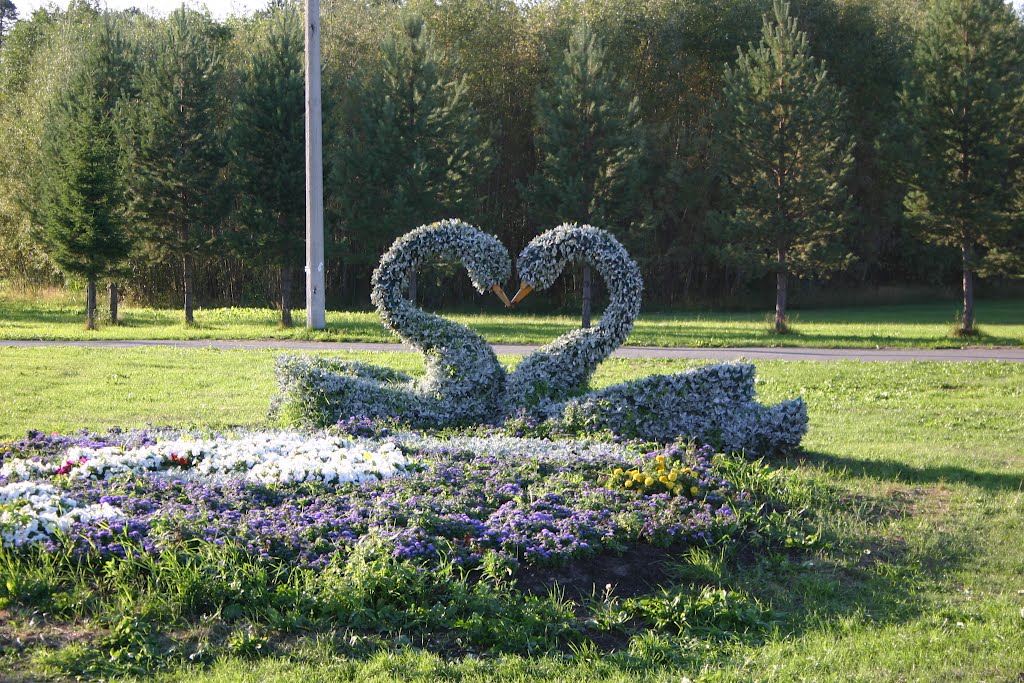 Скульптура вертикального озеленения «Влюблённые лебеди», Пыть-Ях